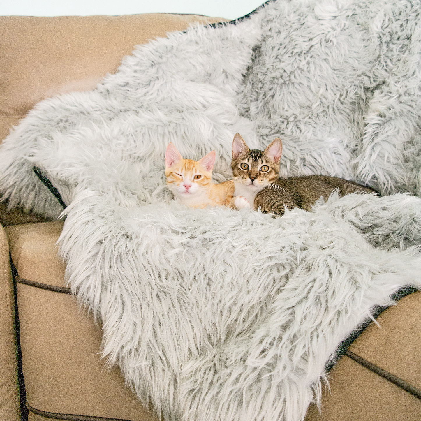 SnuggleShield™ – Luxe & Waterdichte Katten Deken