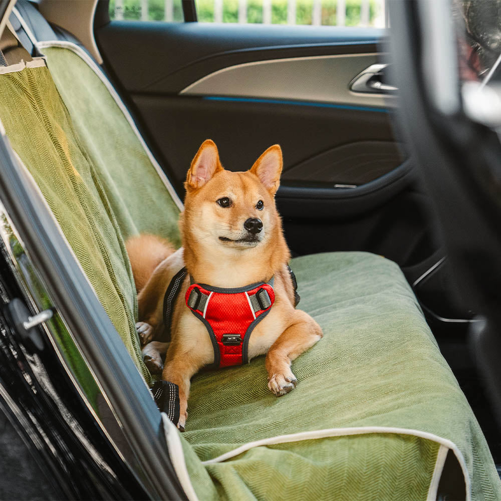 Waterdichte Honden Autostoelhoes – Beschermt & Geeft Comfort