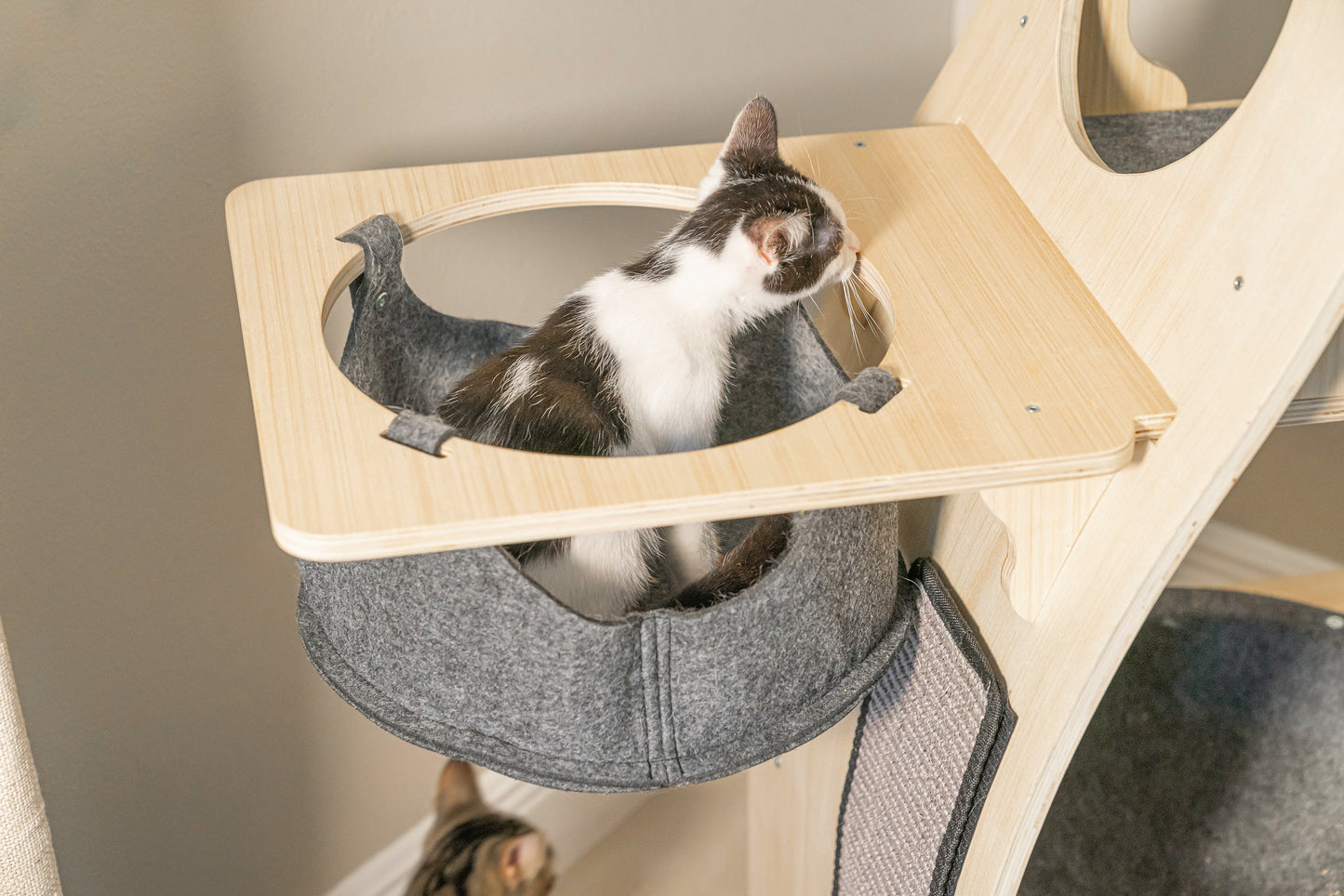 PurrPalace™ – Luxe Krabboom met 5 niveaus