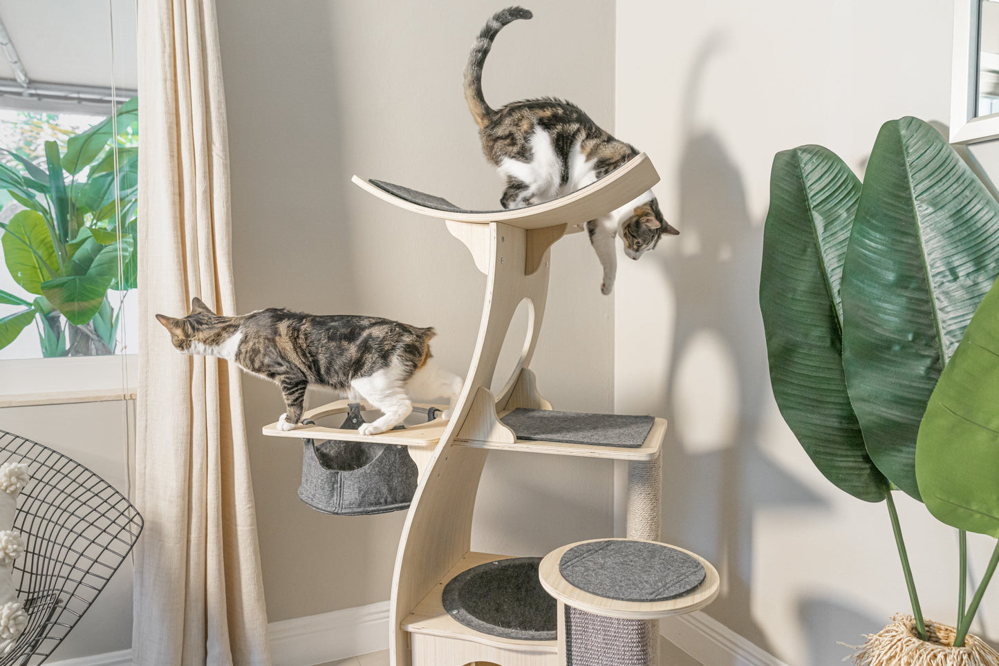 PurrPalace™ – Luxe Krabboom met 5 niveaus