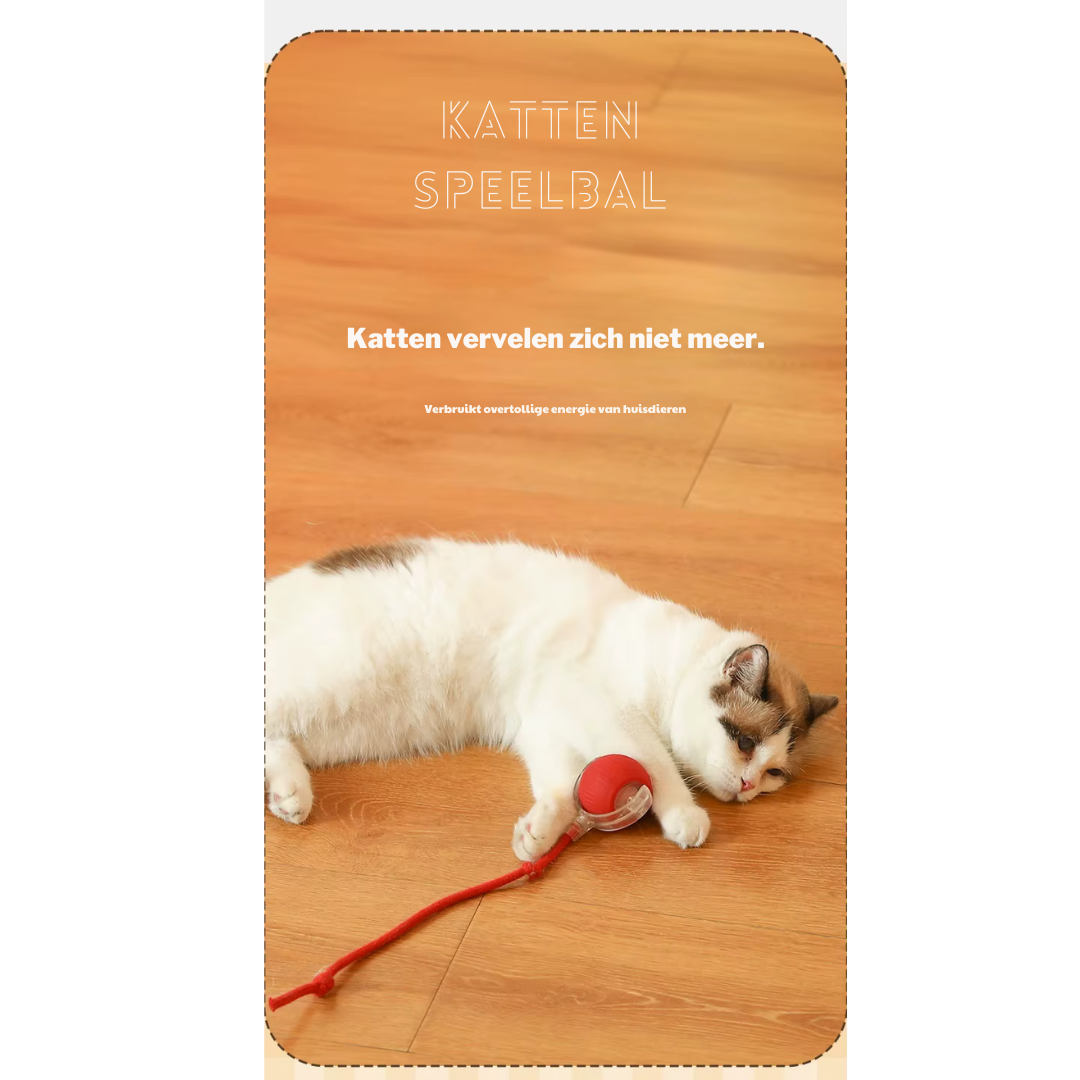PurrChase™ – De Slimme Speelbal voor Katten